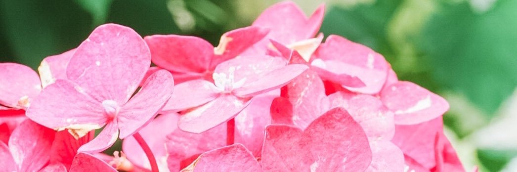 rinami37tom's profile banner image