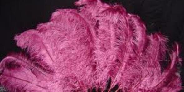 Volupte banner