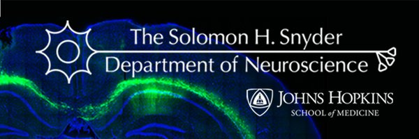 HopkinsNeuro Profile Banner