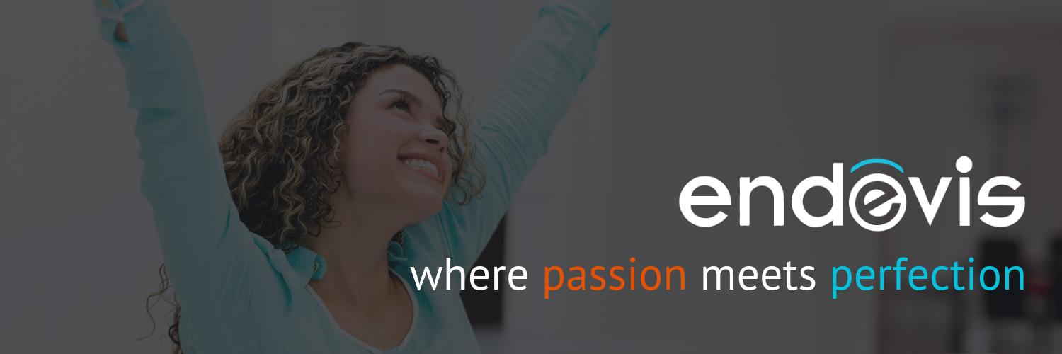 endevis's profile banner image
