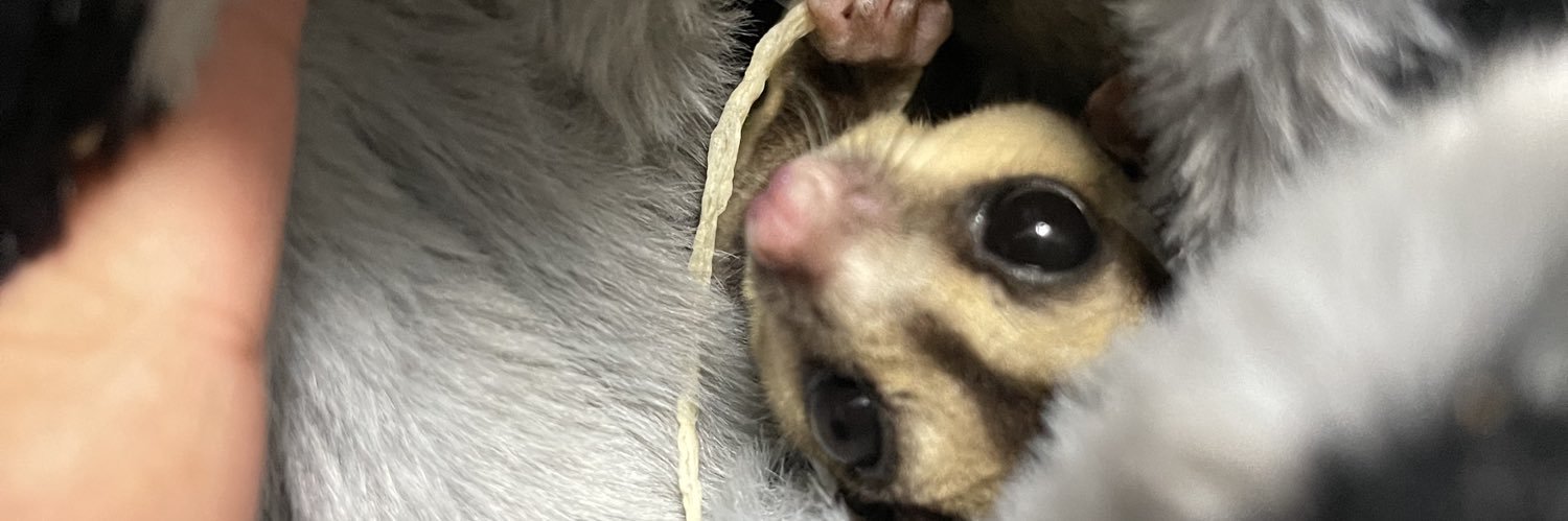 KIchnose's profile banner image