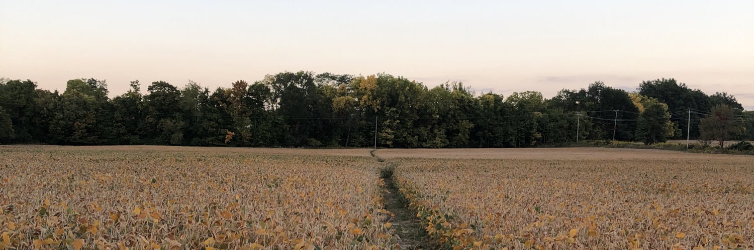 wolfm31's profile banner image