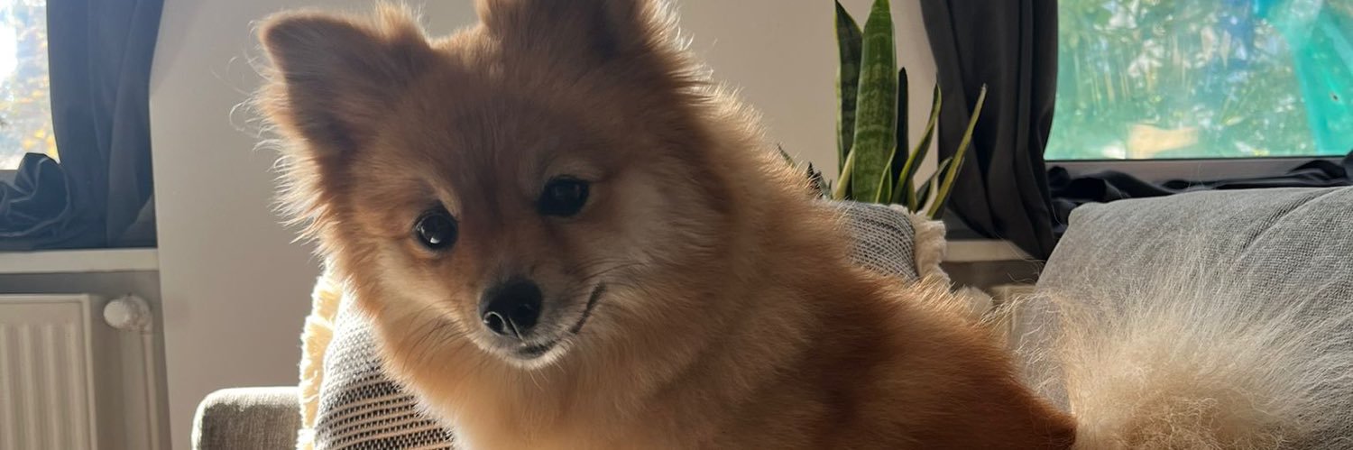 eric_antisina's profile banner image