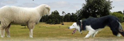 SuffolkonShow's profile banner image