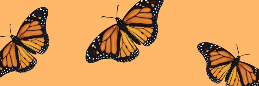 OliveQueenn's profile banner image