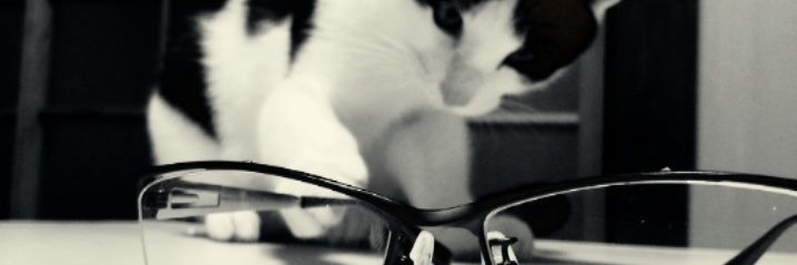 karlee banner