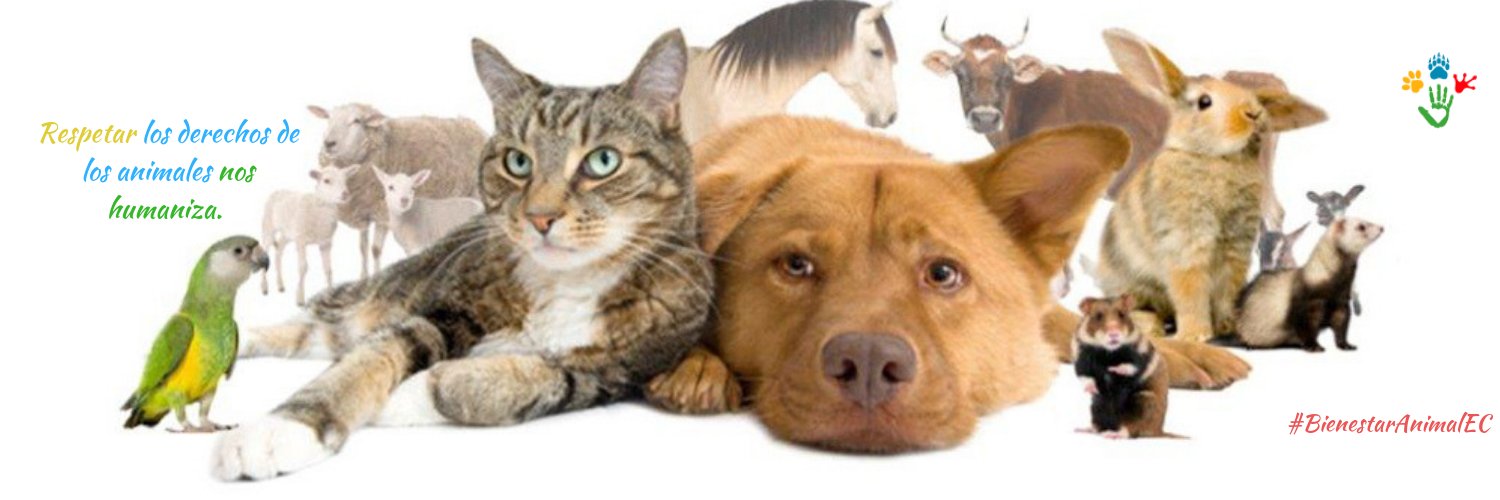 Grupo Bienestar Animal banner