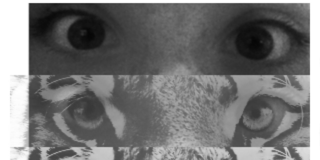 cold_playerr's profile banner image