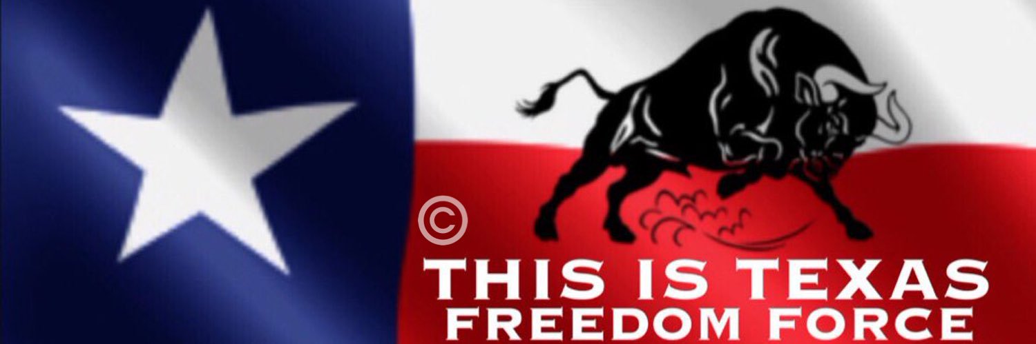 This Is Texas Freedom Force's banner