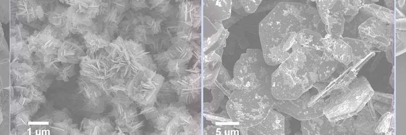 Alex Pinto Group banner