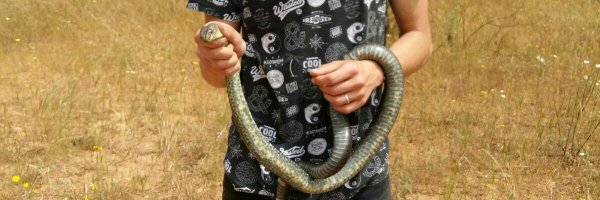 Luisccv_ Profile Banner