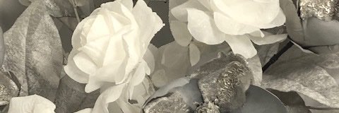 fay townsend-jackson banner