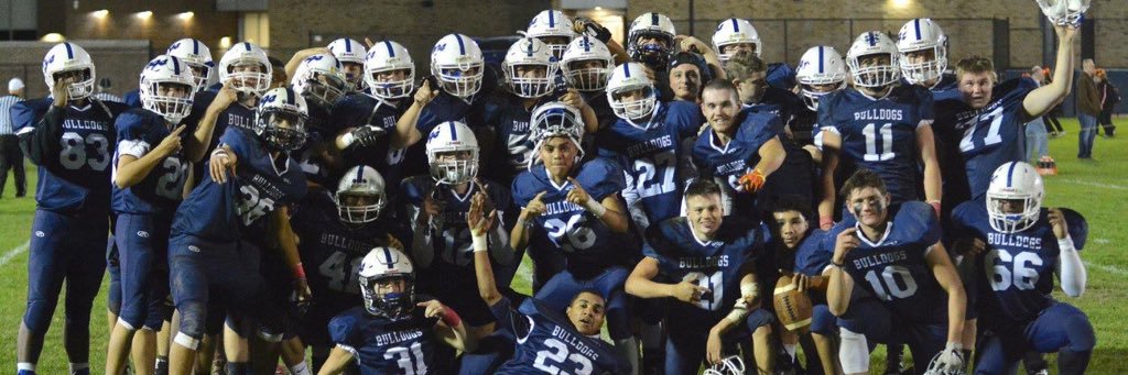 Dogs'Football banner