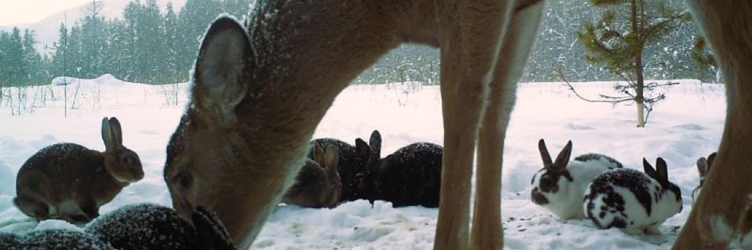 🍃audumb🍂𐂂 banner