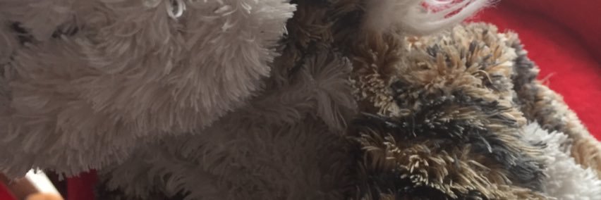 aidantiger15's profile banner image