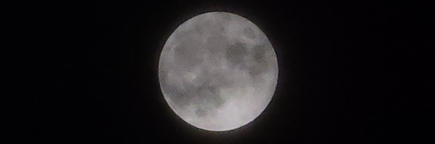 nim3256's profile banner image