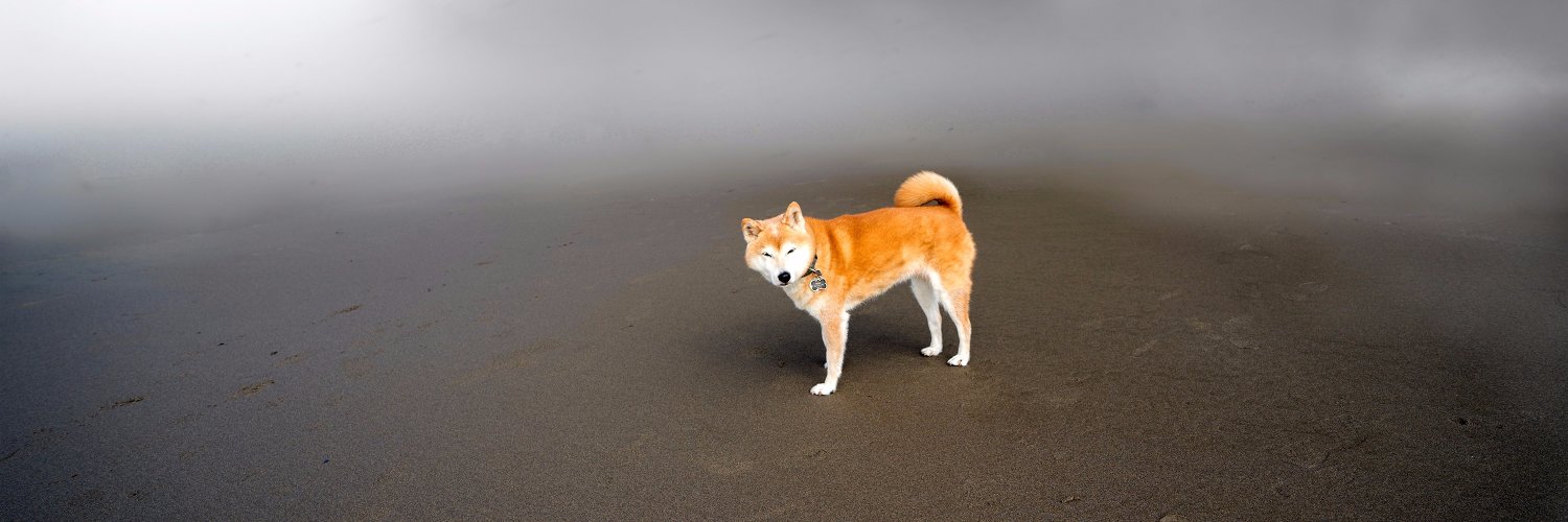 Mike Jacobs 🏳️‍🌈 banner