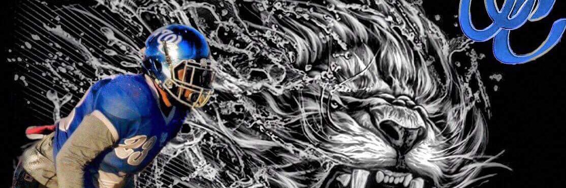 MewMatt05's profile banner image