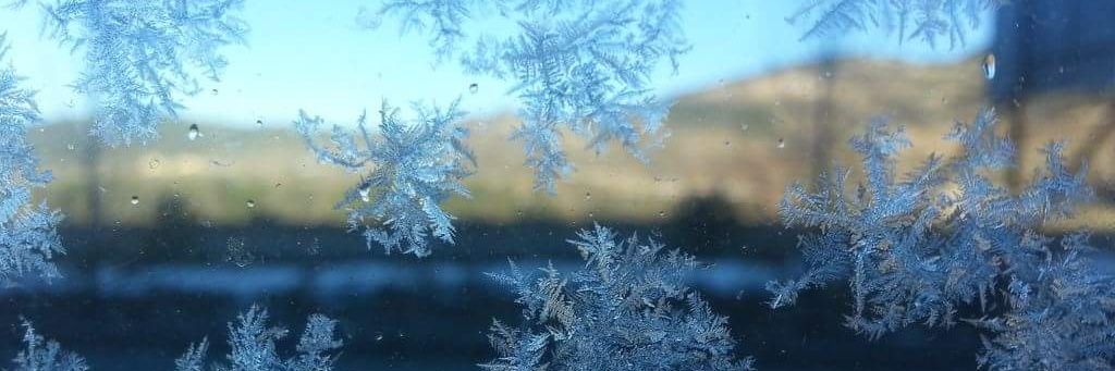 Concha Barceló López banner