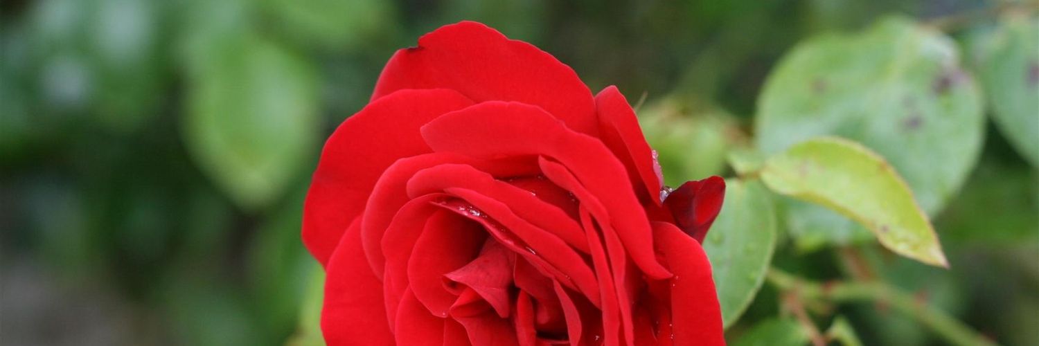 monay563's profile banner image