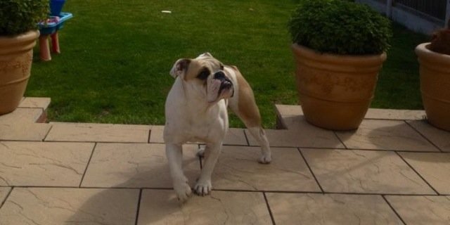 QPRBully's profile banner image