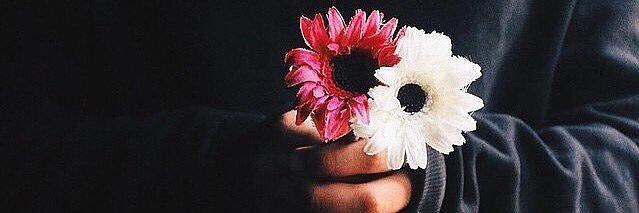 Amjad_al96's profile banner image
