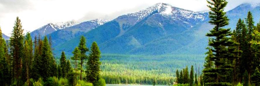 Jonathan Dempsey MBA banner