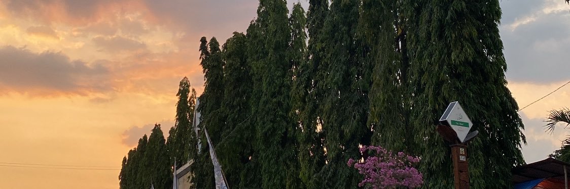 crzush's profile banner image