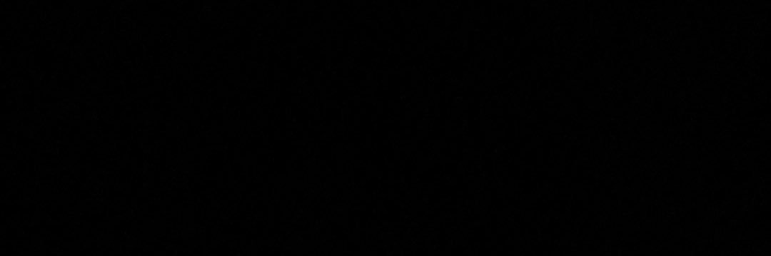 Mark Salinas / Pup Ace banner