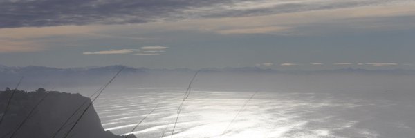 mauisarc Profile Banner