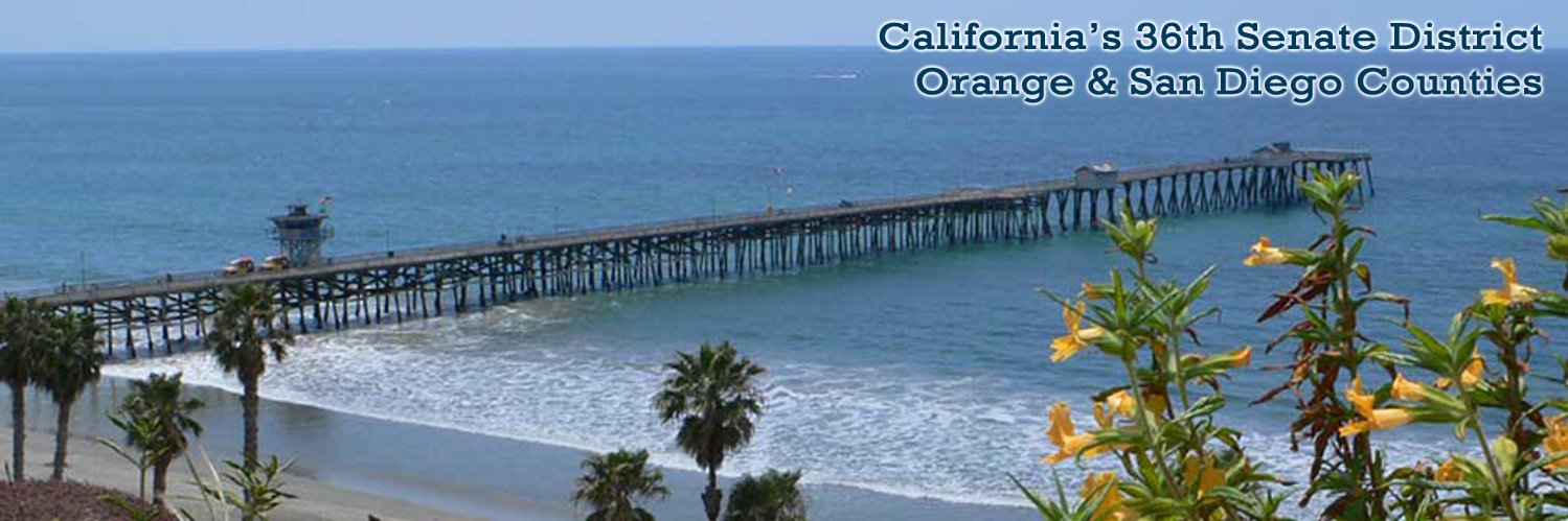 Senator Pat Bates banner