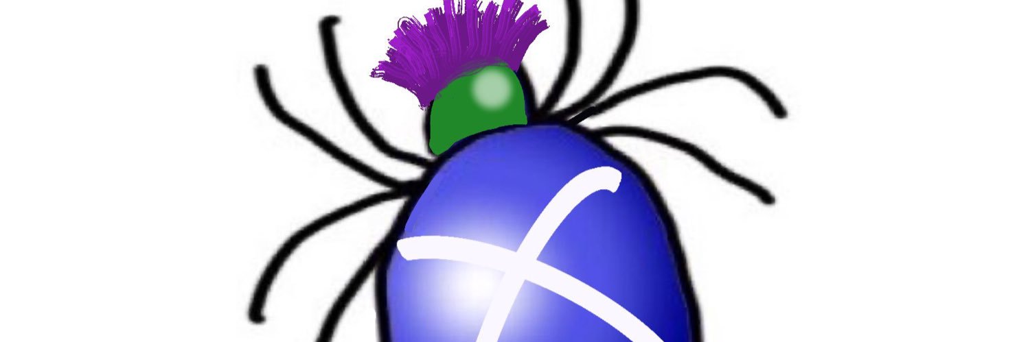 Anneedee 🏴󠁧󠁢󠁳󠁣󠁴󠁿🇪🇺🏴󠁧󠁢󠁷󠁬󠁳󠁿 🇵🇸 banner