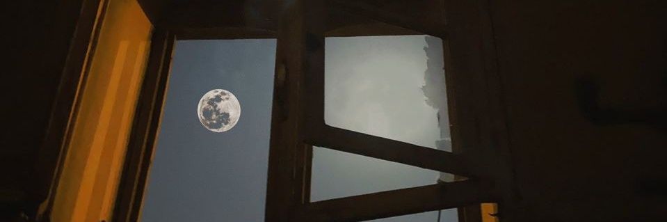 uo_u8's profile banner image
