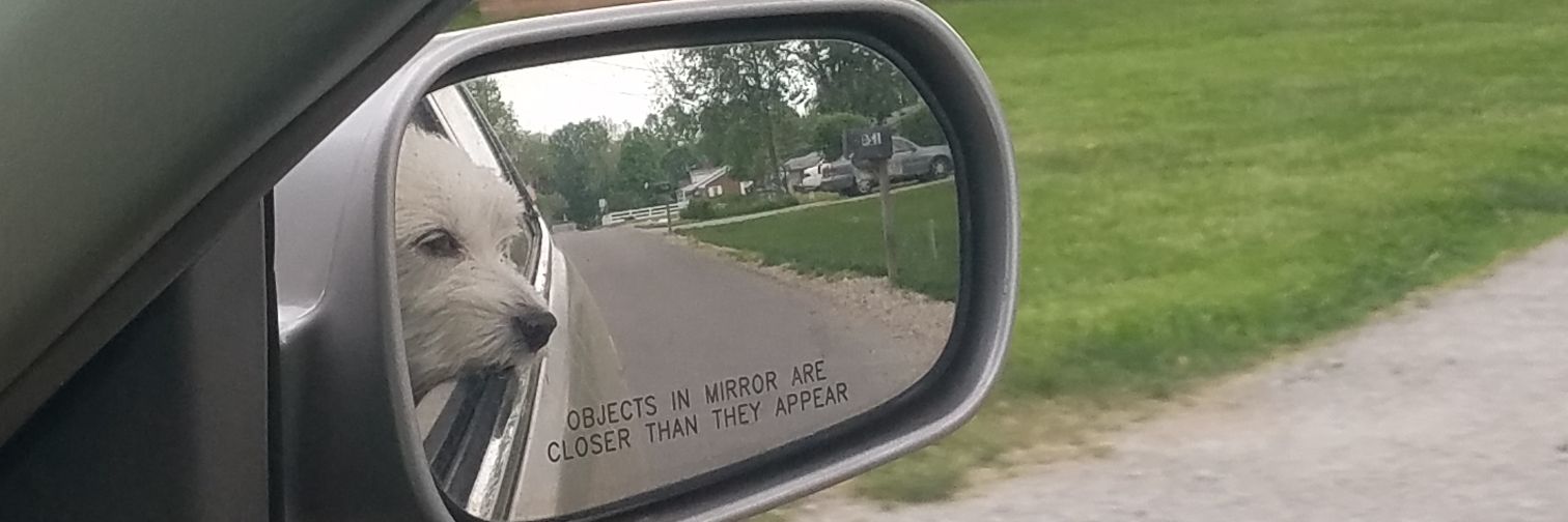 Lovemostthings banner