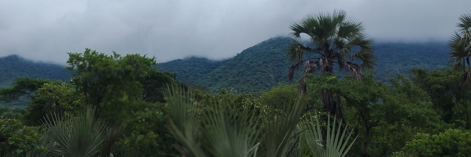i_fadul's profile banner image