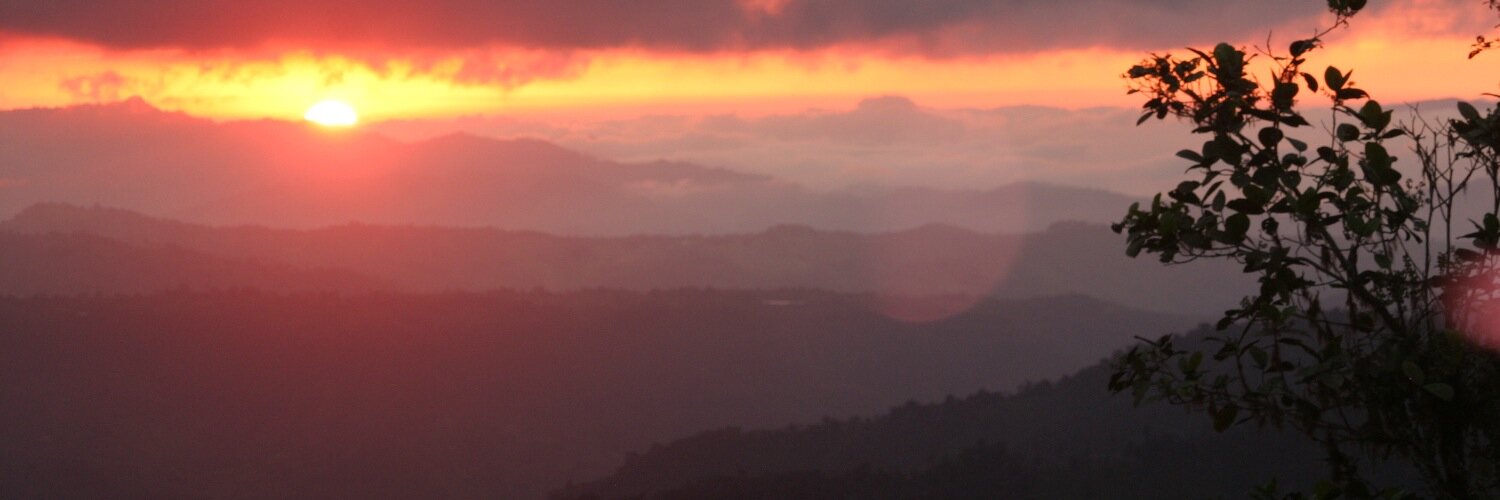 Lampornis's profile banner image