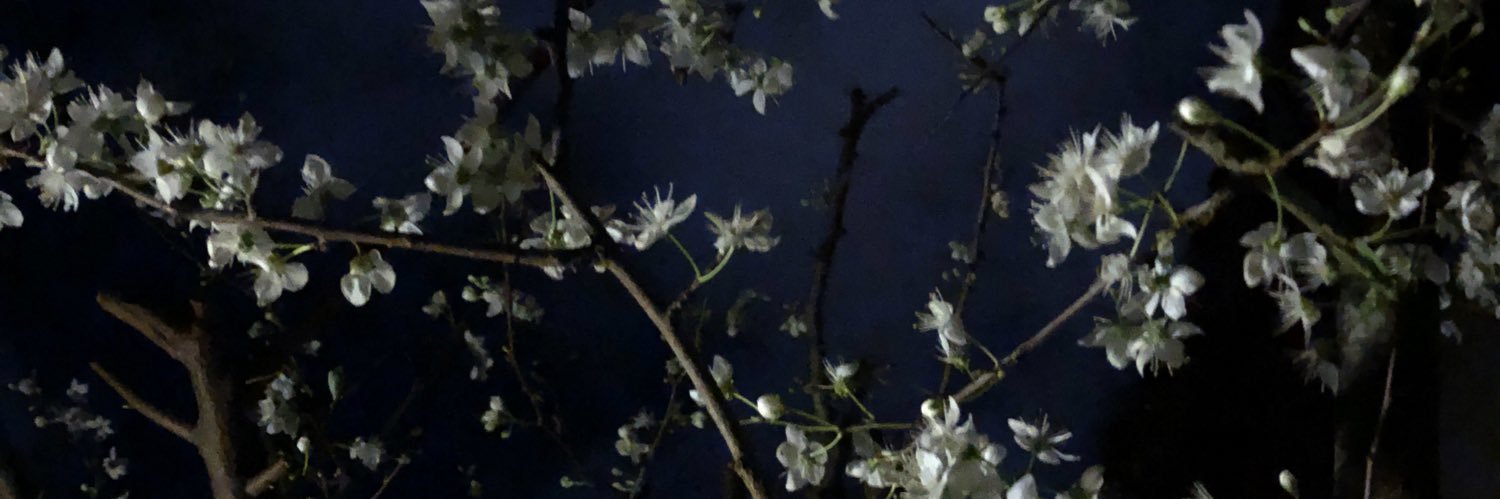 YoCarVa's profile banner image