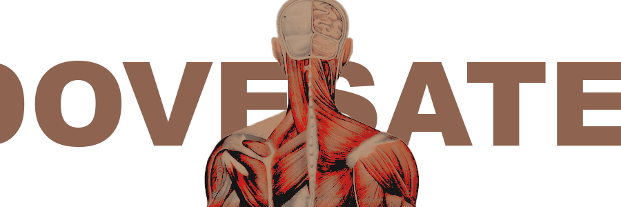: ̗̀➛ 𝓣𝐀𝐒𝐓𝐄 𝐓𝐇𝐄 𝐅𝐋𝐄𝐒𝐇.'s banner