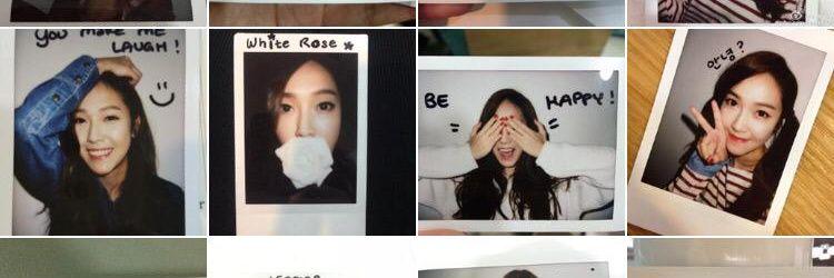 jesicasic's profile banner image