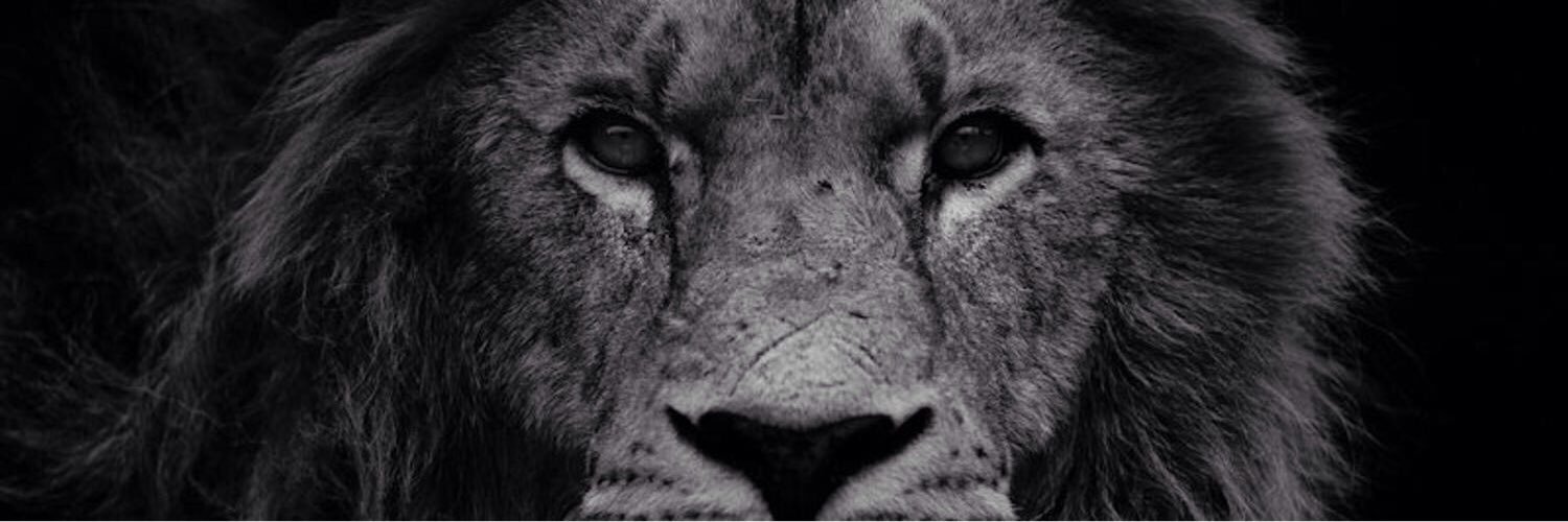 jakeharrington7's profile banner image
