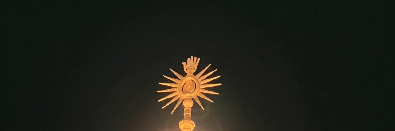 سعید's banner