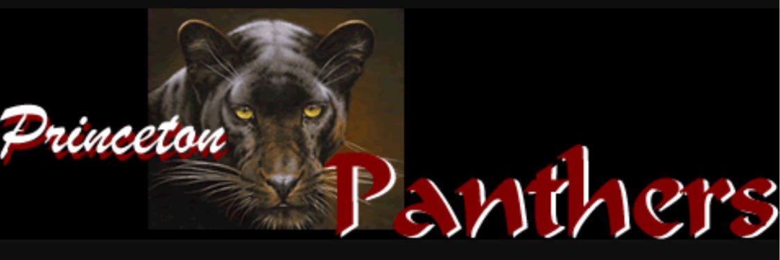 Princeton Athletics banner