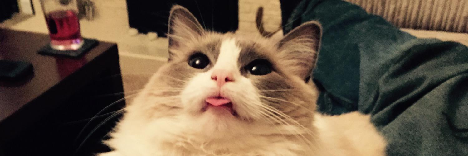 apriltoddi's profile banner image