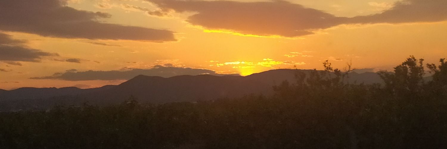 borredaborrell's profile banner image