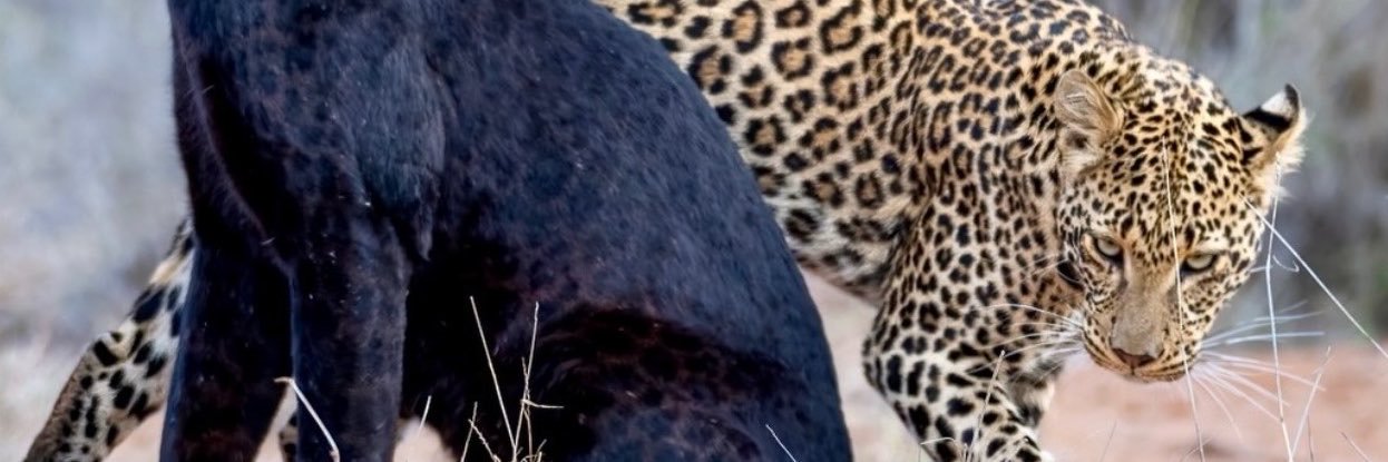 EmilyLGriffin's profile banner image