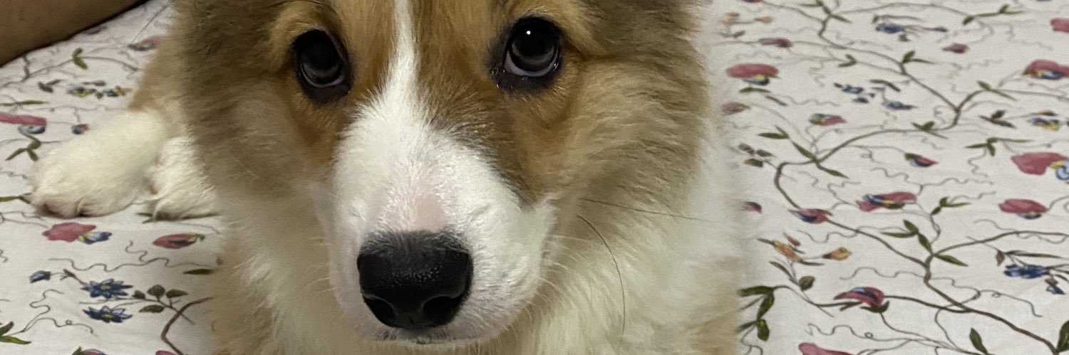 frazerterrence's profile banner image