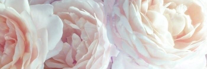 JaclynDix's profile banner image