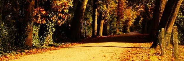 The Beefmeister banner