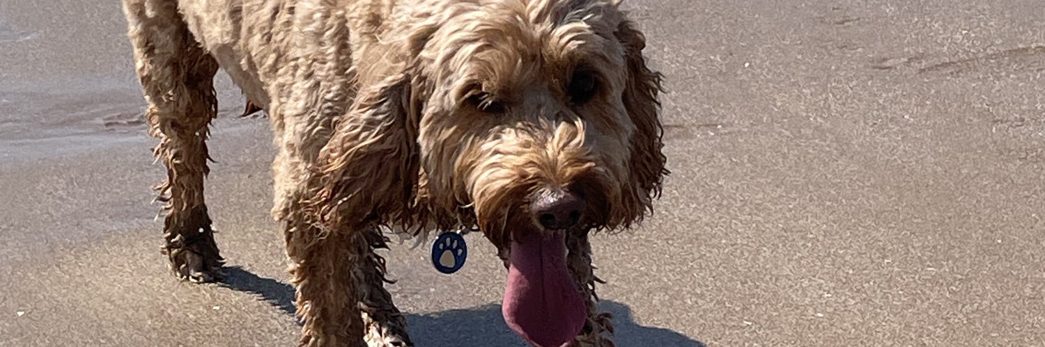 ®️🅰️Dℹ️💲♓️ banner