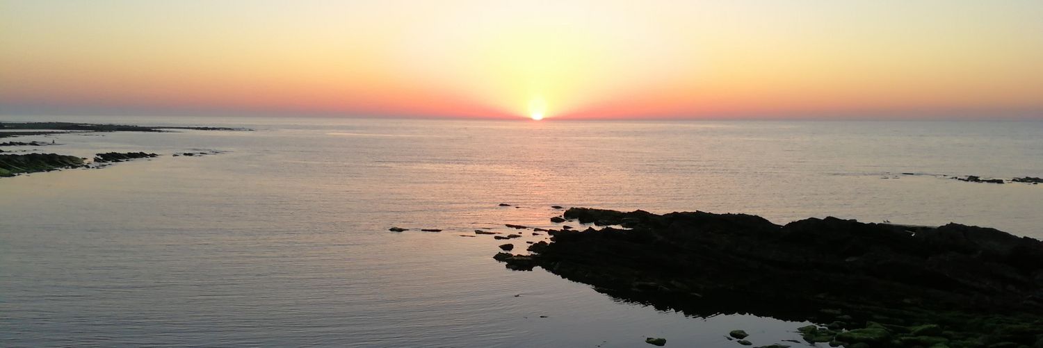 Waechter_Lexbase banner